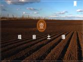 5.2土壤课件-2024-2025学年高一地理人教版（2019）必修第一册