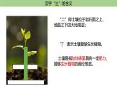 5.2土壤课件2024-2025学年高中地理人教版（2019）必修一