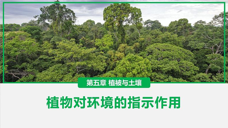 第5章 补充拓展：植物对环境的指示作用 课件- 2024-2025学年高一地理人教版（2019）必修第一册第1页