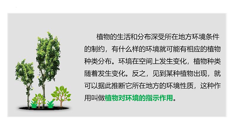 第5章 补充拓展：植物对环境的指示作用 课件- 2024-2025学年高一地理人教版（2019）必修第一册第2页