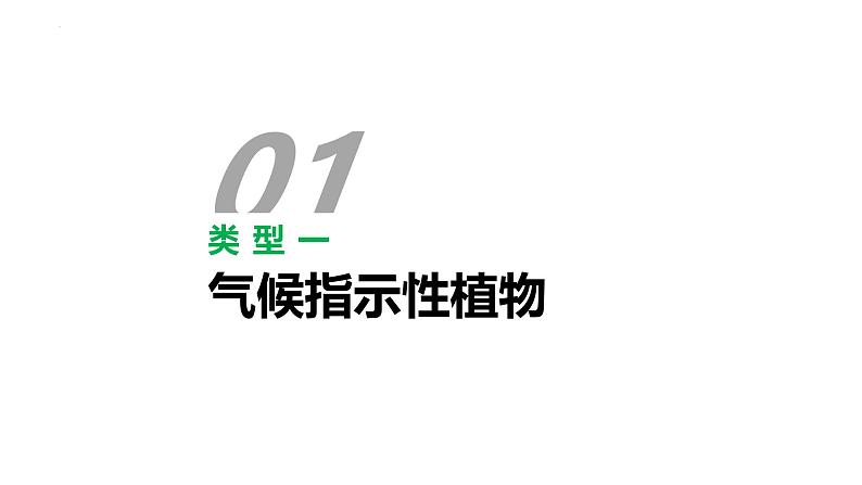 第5章 补充拓展：植物对环境的指示作用 课件- 2024-2025学年高一地理人教版（2019）必修第一册第3页
