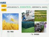 3.1 农业区位因素及其变化 课件 2024-2025学年高一下学期地理人教版（2019）必修第二册