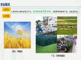 3.1 农业区位因素及其变化 课件 2024-2025学年高一下学期地理人教版（2019）必修第二册