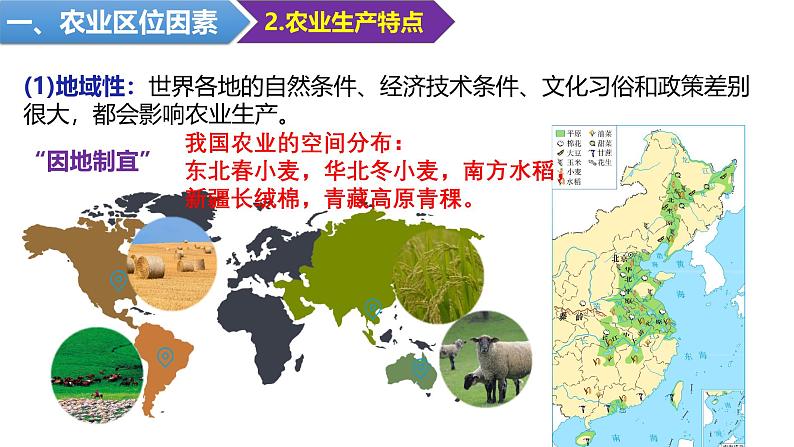 3.1 农业区位因素及其变化 课件 2024-2025学年高一下学期地理人教版（2019）必修第二册第5页