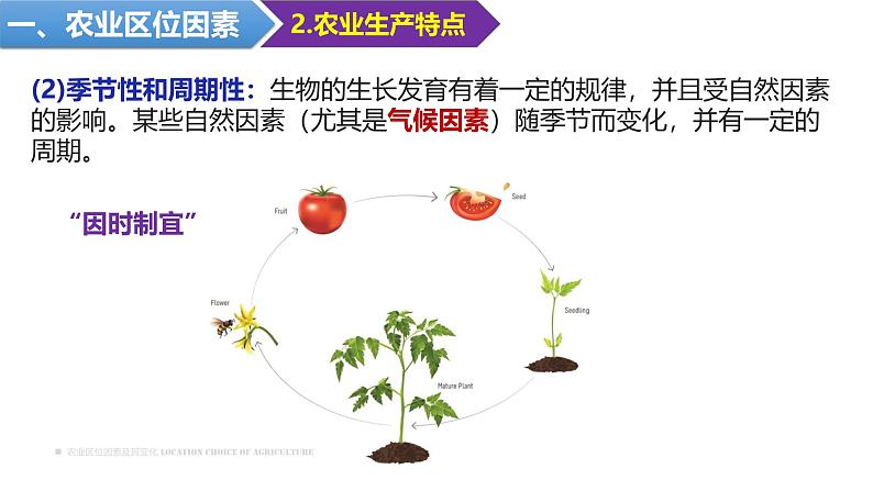 3.1 农业区位因素及其变化 课件 2024-2025学年高一下学期地理人教版（2019）必修第二册第6页