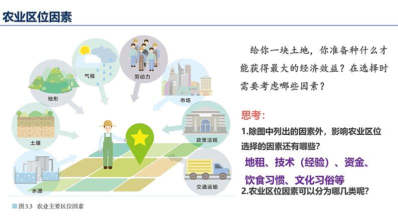 3.1 农业区位因素及其变化 课件 2024-2025学年高一下学期地理人教版（2019）必修第二册第8页