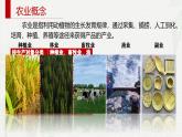 3.1农业区位因素及其变化课件2024-2025学年高中地理 人教版（2019）必修第二册