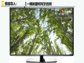 5.2走向人地協(xié)調(diào)-可持續(xù)發(fā)展課件 2024-2025學(xué)年高一年級(jí)第二學(xué)期地理人教版（2019）必修第二冊(cè)