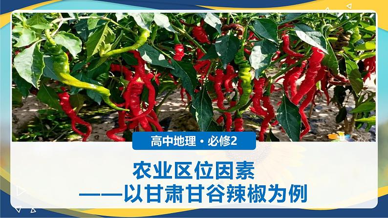 3.1 农业区位因素——以甘肃甘谷辣椒为例 课件 2024-2025年高中地理人教版（2019）必修第二册第1页