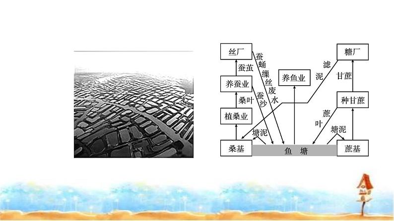 人教版高中地理必修第二册第三章第一节第二课时农业区位因素的变化课件05