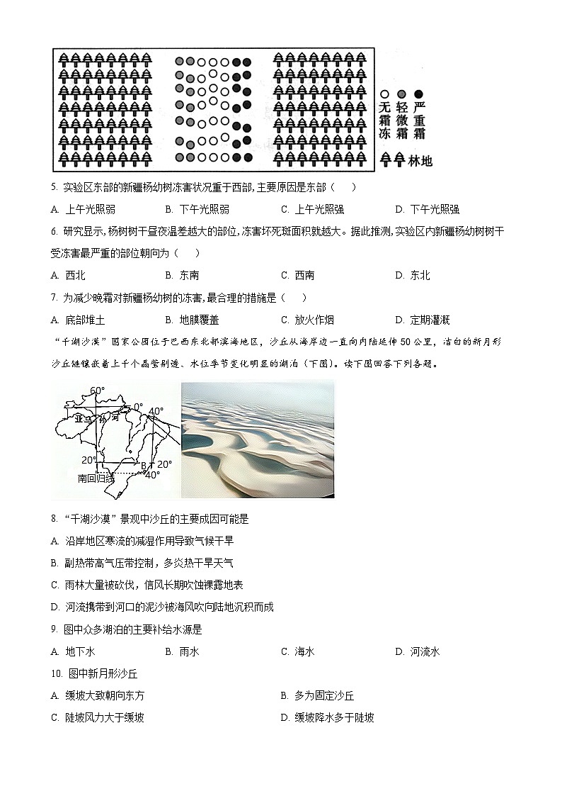 四川省合江县马街中学2024-2025学年高三上学期9月月考地理试题 Word版无答案第2页