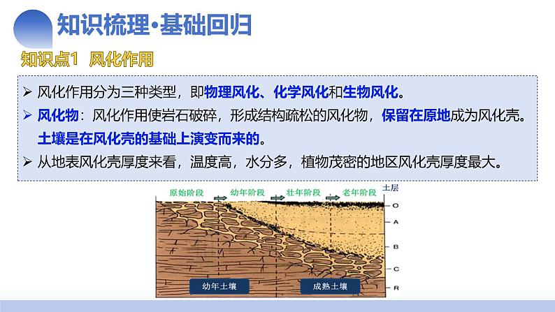 第14讲 外力作用与地表形态（含河流地貌、河流冲淤）（课件）-2025年高考地理一轮复习讲练测（新教材新高考）第8页