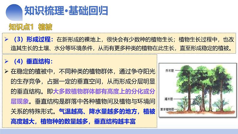 第16讲 植被和土壤（课件）-2025年高考地理一轮复习讲练测（新教材新高考）07