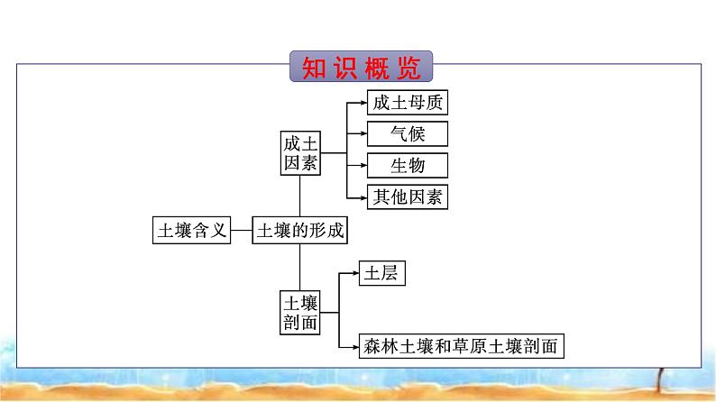 湘教版高中地理必修第一册第5章地球上的植被与土壤第2节土壤的形成课件第3页