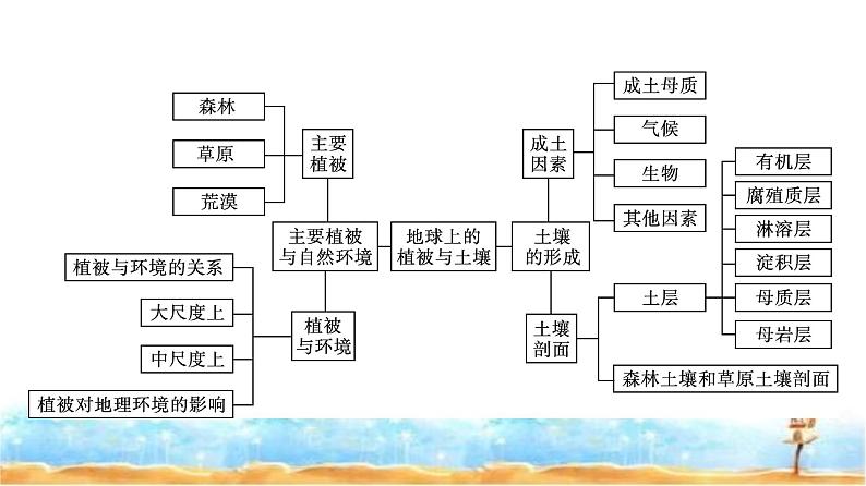 湘教版高中地理必修第一册第5章地球上的植被与土壤章末核心素养整合课件第2页