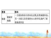 湘教版高中地理必修第一册第5章地球上的植被与土壤章末核心素养整合课件