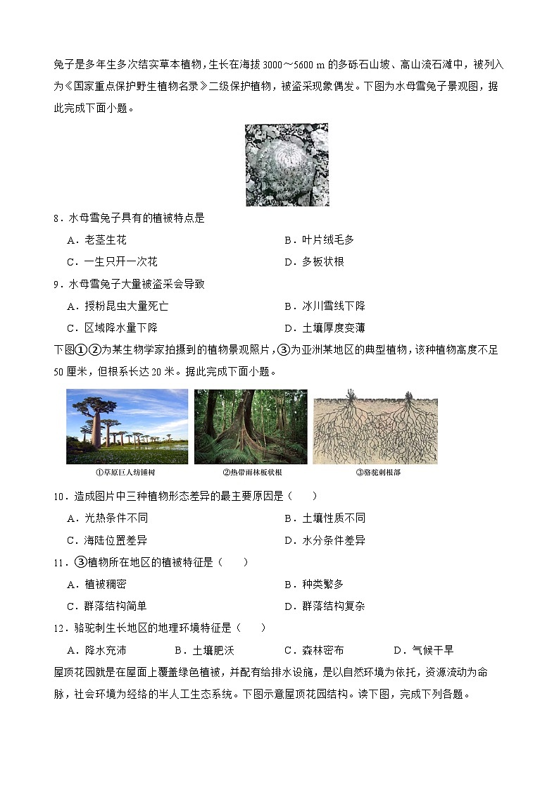 5.1 植被一课一练2024-2025学年高一地理人教版（2019）必修第一册第3页