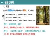 5.1 植被（第1课时）（同步课件）-2024-2025学年高一地理同步备课课件（人教版2019必修第一册）