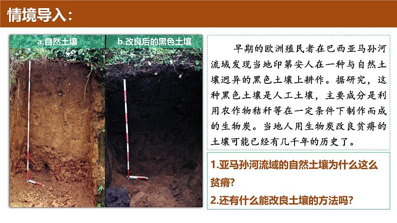 5.2 土壤（同步课件）-2024-2025学年高一地理同步备课课件（人教版2019必修第一册）03