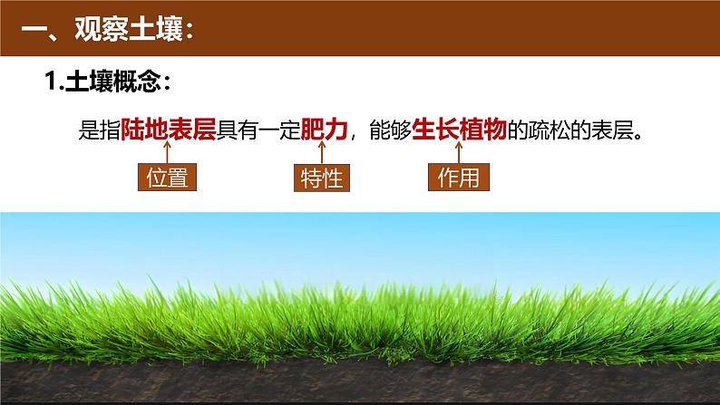 5.2 土壤（同步课件）-2024-2025学年高一地理同步备课课件（人教版2019必修第一册）05