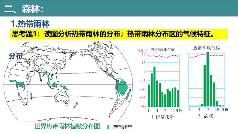 5.1 植被（第2课时）（同步课件）-2024-2025学年高一地理同步备课课件（人教版2019必修第一册）第5页