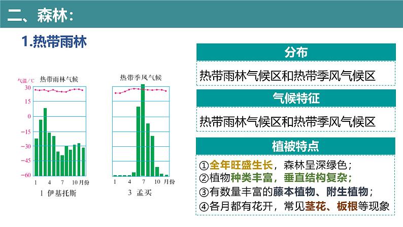 5.1 植被（第2课时）（同步课件）-2024-2025学年高一地理同步备课课件（人教版2019必修第一册）第8页