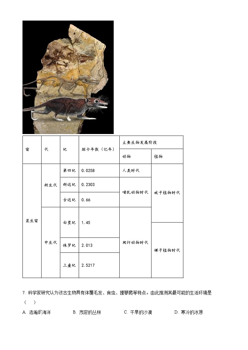辽宁省沈阳市沈文新高考研究联盟2024-2025学年高三上学期10月联考地理试题  Word版无答案第3页