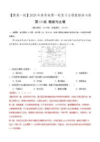 第19讲 植被与土壤（专项训练）-【聚焦一轮】2025年高考地理一轮复习全程跟踪讲与练（解析版）