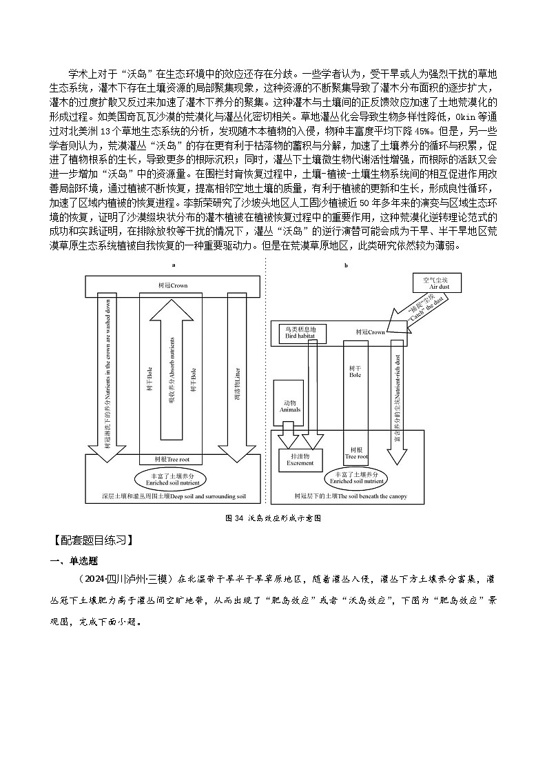 2025届高考地理二轮专题复习 地理中的68种效应之37  干旱区沃岛效应-2025届高三地理专题复习训练第2页