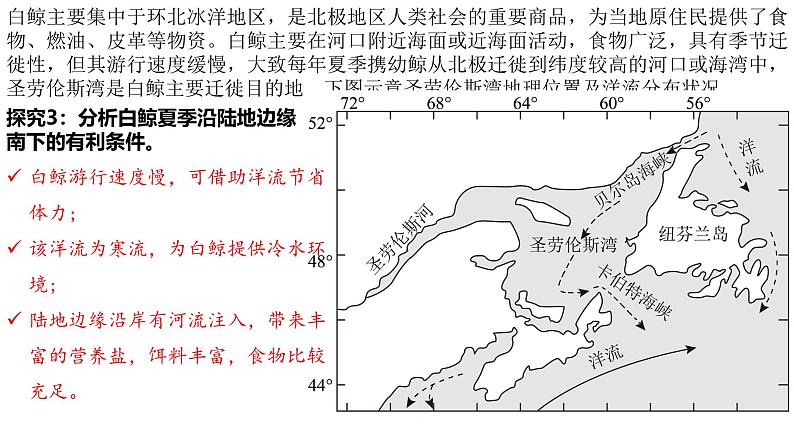 4.2洋流——洋流对自然环境的影响—以纽芬兰群岛海域为例课件-2024-2025学年高中地理人教版（2019）选择性必修1第3页