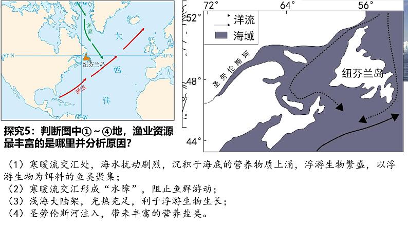 4.2洋流——洋流对自然环境的影响—以纽芬兰群岛海域为例课件-2024-2025学年高中地理人教版（2019）选择性必修1第6页