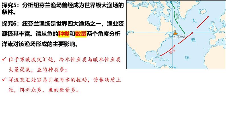 4.2洋流——洋流对自然环境的影响—以纽芬兰群岛海域为例课件-2024-2025学年高中地理人教版（2019）选择性必修1第7页