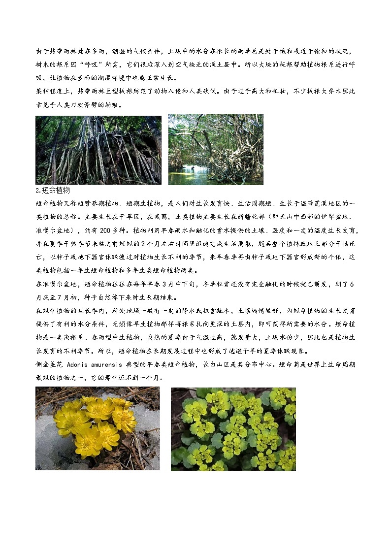 人教版高中地理必修第一册同步讲义5.1植被（2份，原卷版+解析版）02