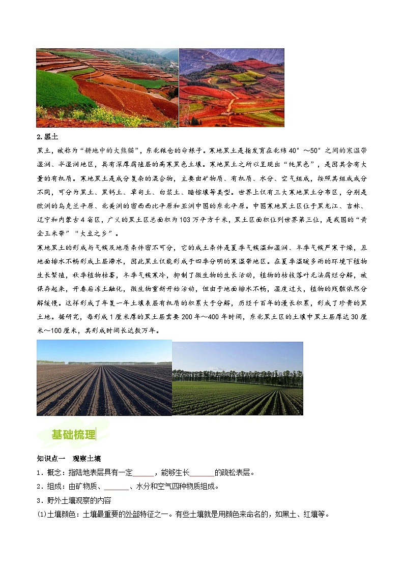 人教版高中地理必修第一册同步讲义5.2土壤（2份，原卷版+解析版）02