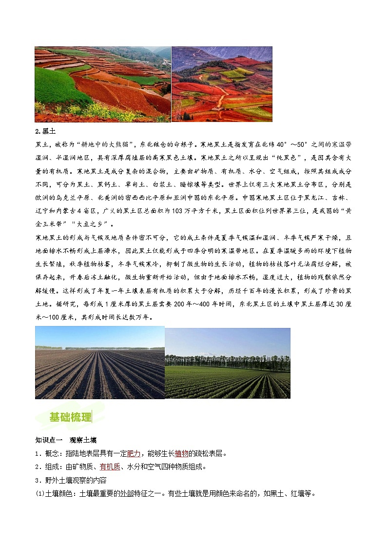人教版高中地理必修第一册同步讲义5.2土壤（2份，原卷版+解析版）02