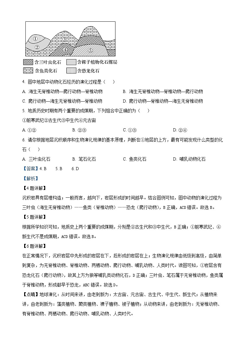 四川省雅安中学2024-2025学年高一上学期10月检测地理试题 Word版含解析第2页