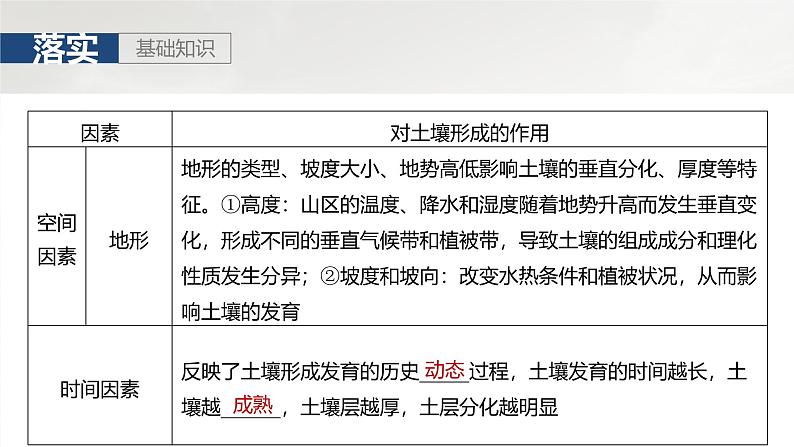 第一部分 第六章 第一讲 课时三5　土壤的形成（课件+讲练）-2025高考大一轮复习地理（湘教版）04