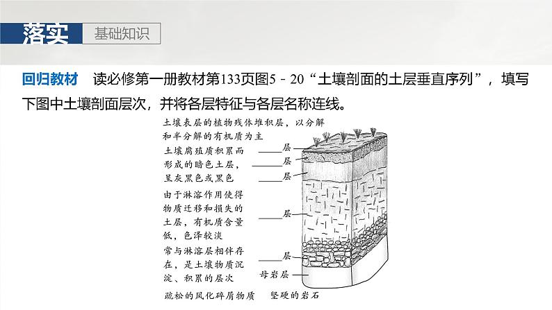 第一部分 第六章 第一讲 课时三5　土壤的形成（课件+讲练）-2025高考大一轮复习地理（湘教版）07