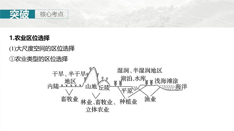 第二部分 第三章 第1讲 课时48　农业布局第6页