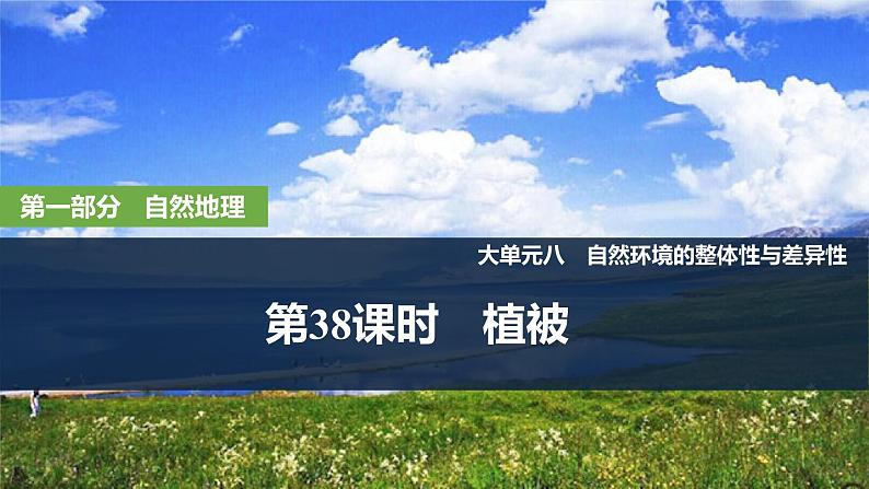 2025届高中地理一轮复习课件：第一部分自然地理第八单元自然环境的整体性与差异性第38课时　植被（共30张ppt）第1页