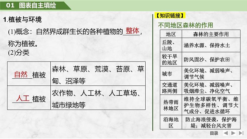 2025届高中地理一轮复习课件：第一部分自然地理第八单元自然环境的整体性与差异性第38课时　植被（共30张ppt）第5页