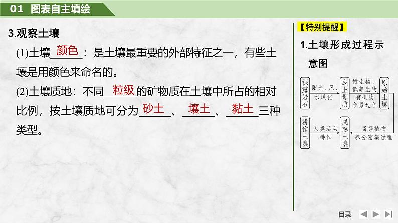 2025届高中地理一轮复习课件：第一部分自然地理第八单元自然环境的整体性与差异性第39课时　土壤（共36张ppt）第7页