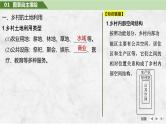 第二部分人文地理 第十一单元乡村和城镇 第48课时　乡村和城镇空间结构（课件+讲义）-2025年高考地理一轮复习