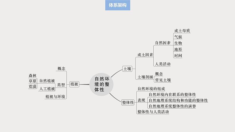 第一部分 第六章 第1讲 课时34　主要植被与自然环境第3页