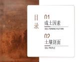 湘教版高中地理必修一第五章第二节《土壤的形成》课件