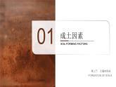 湘教版高中地理必修一第五章第二节《土壤的形成》课件