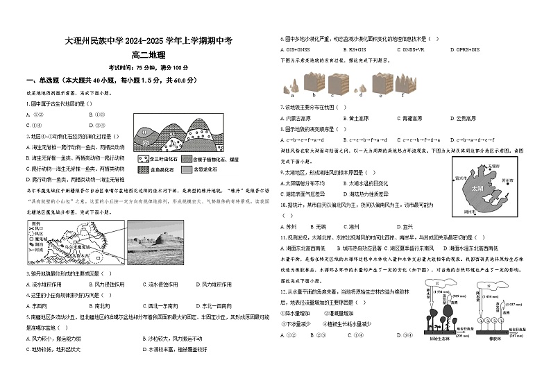 云南省大理白族自治州民族中学2024-2025学年高二上学期11月期中地理试题01