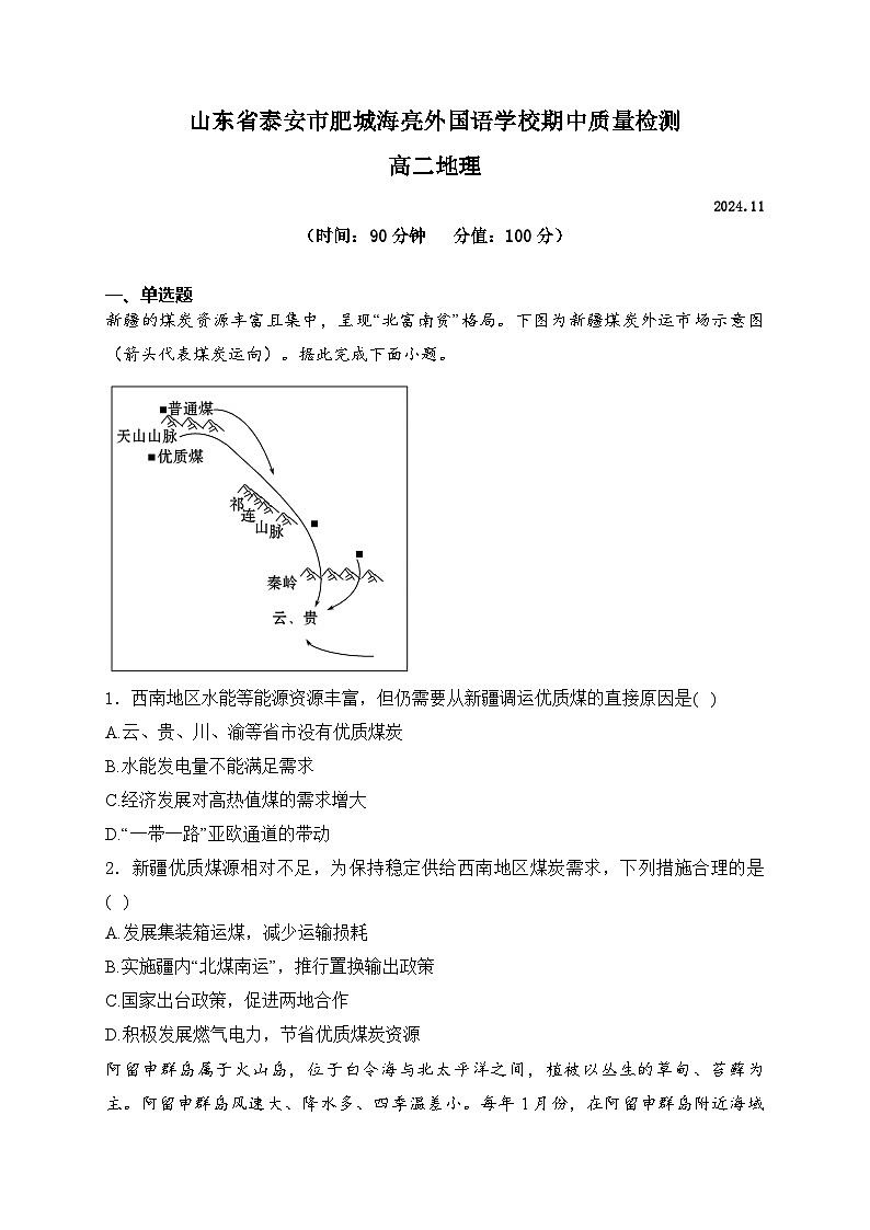 山东省泰安市肥城海亮外国语学校2024-2025学年高二上学期11月期中地理试题01