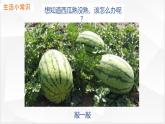 中图版2020高中地理必修1主题2地球的圈层结构课件