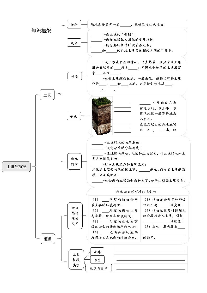 中图版2020高中地理必修1主题11土壤与植被知识点+练习第1页